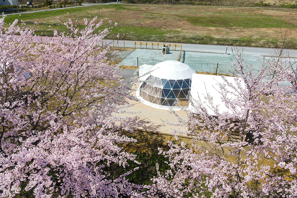 春の彩りテント